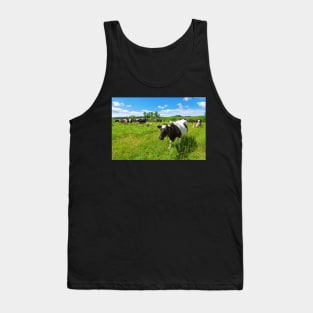 A herd of Holstein Friesian cows grazing on a pasture under blue cloudy sky Tank Top